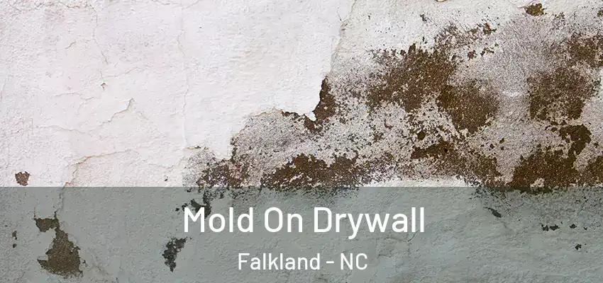  Mold On Drywall Falkland - NC