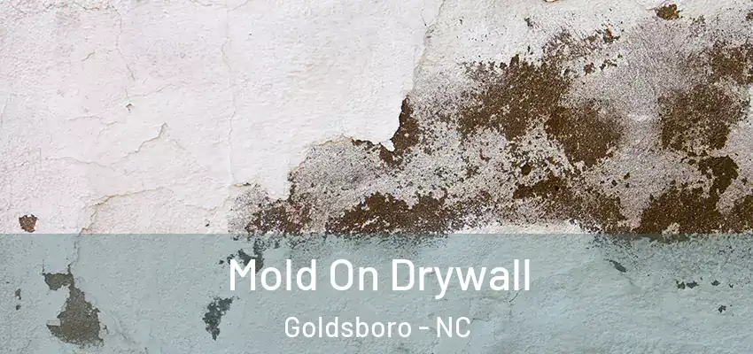 Mold On Drywall Goldsboro - NC