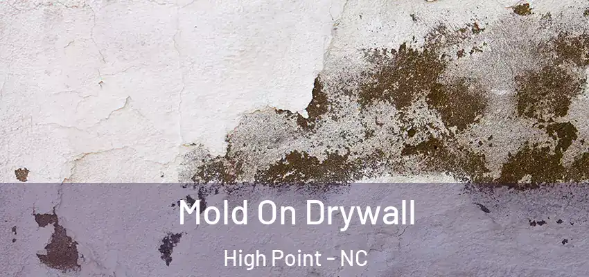  Mold On Drywall High Point - NC