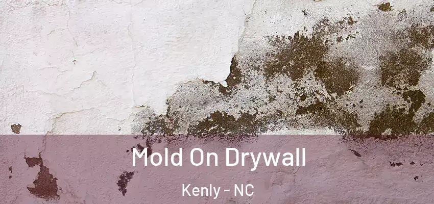  Mold On Drywall Kenly - NC