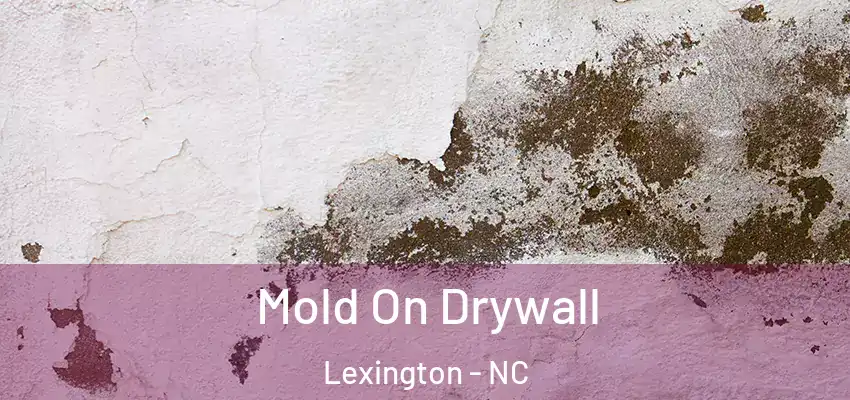  Mold On Drywall Lexington - NC