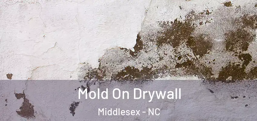 Mold On Drywall Middlesex - NC