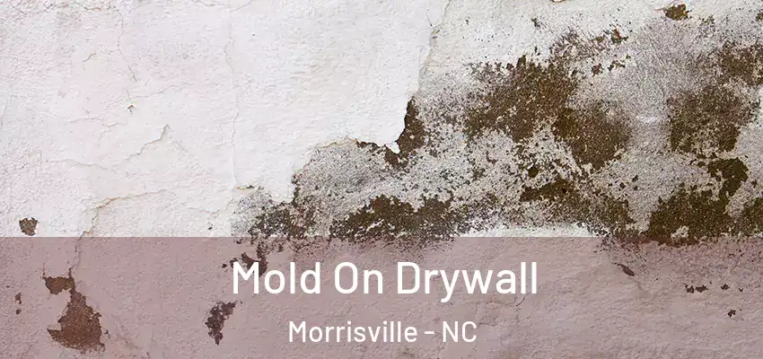  Mold On Drywall Morrisville - NC