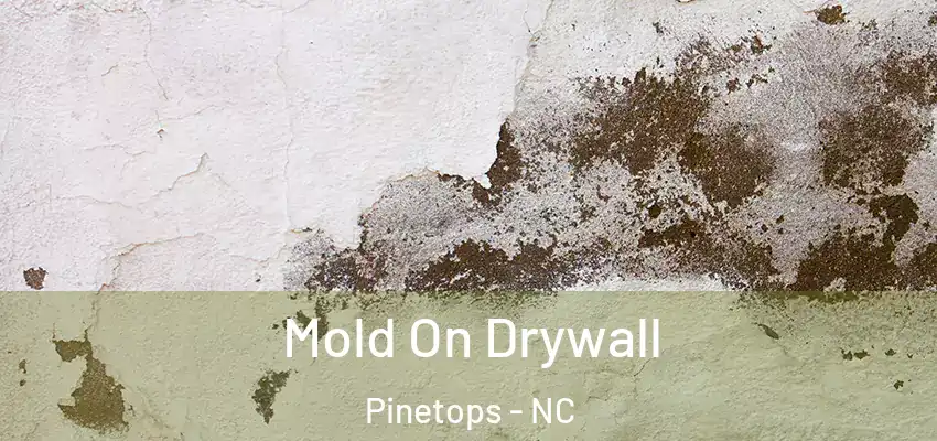  Mold On Drywall Pinetops - NC