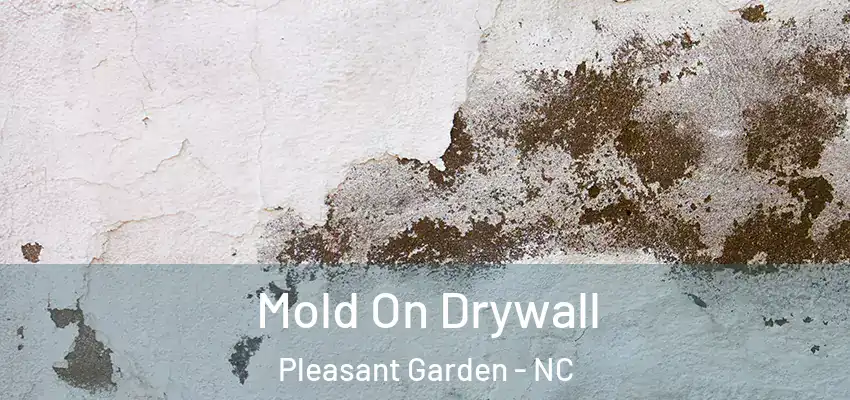  Mold On Drywall Pleasant Garden - NC