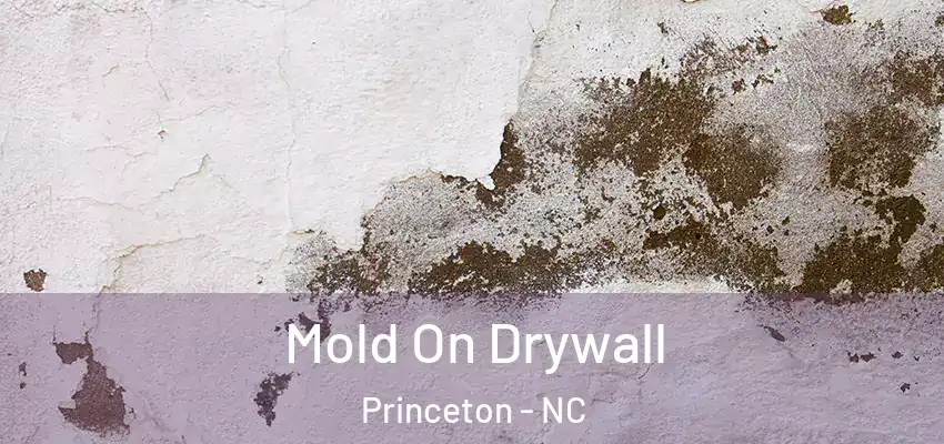 Mold On Drywall Princeton - NC