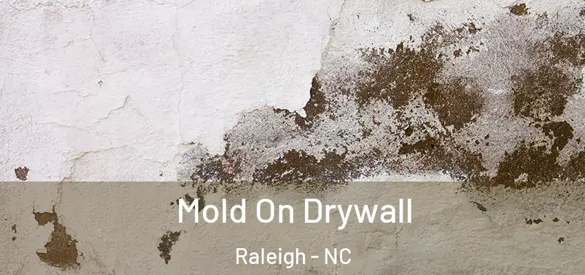  Mold On Drywall Raleigh - NC