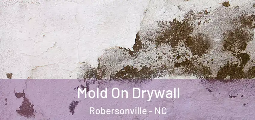 Mold On Drywall Robersonville - NC