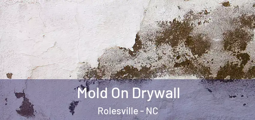 Mold On Drywall Rolesville - NC