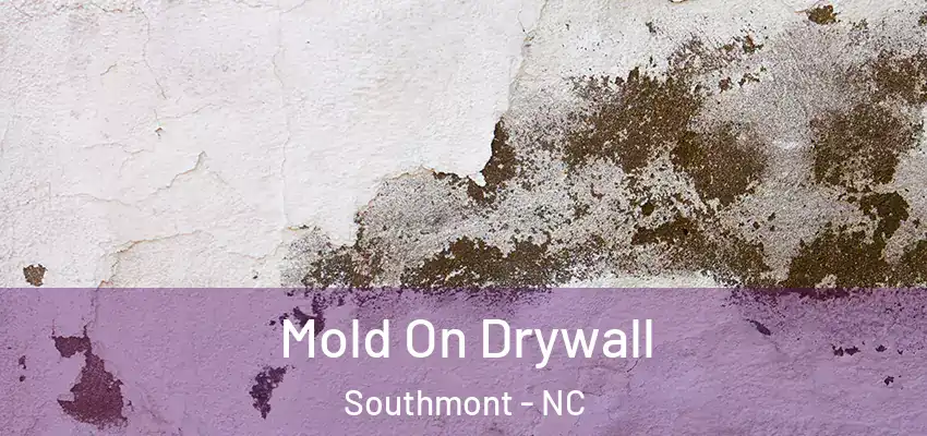  Mold On Drywall Southmont - NC