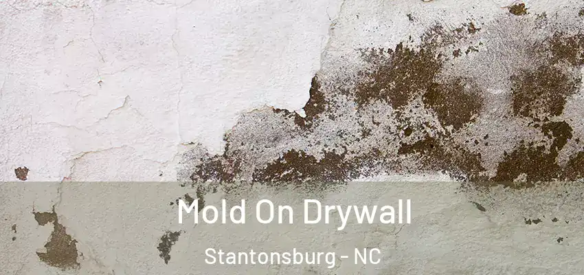 Mold On Drywall Stantonsburg - NC