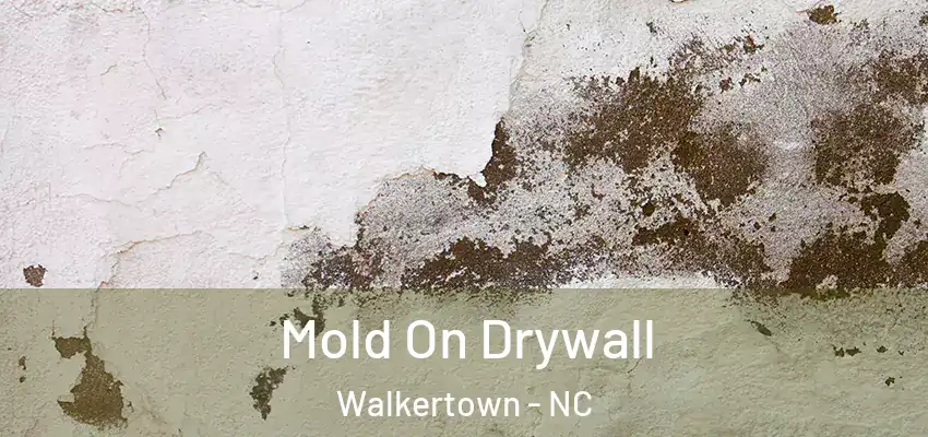 Mold On Drywall Walkertown - NC