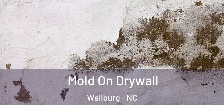 Mold On Drywall Wallburg - NC