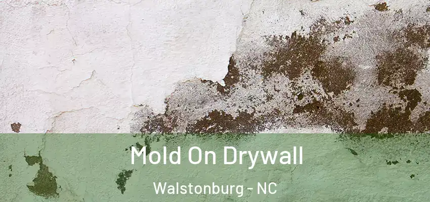  Mold On Drywall Walstonburg - NC
