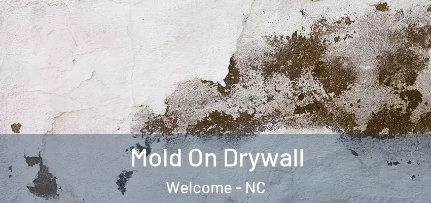  Mold On Drywall Welcome - NC