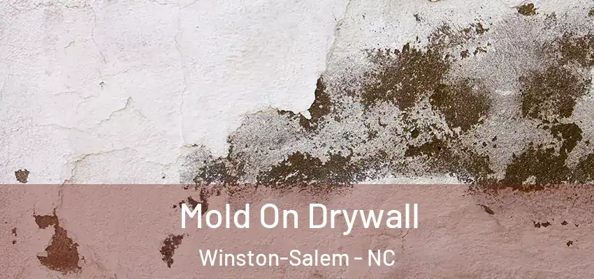  Mold On Drywall Winston-Salem - NC