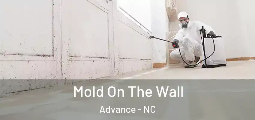 Mold On The Wall Advance - NC