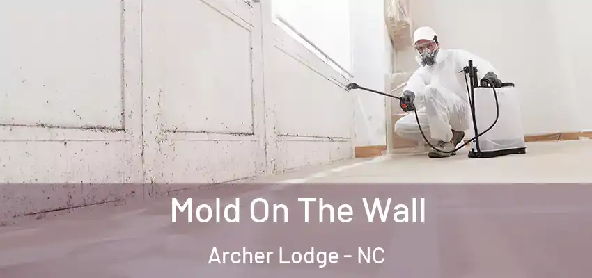 Mold On The Wall Archer Lodge - NC