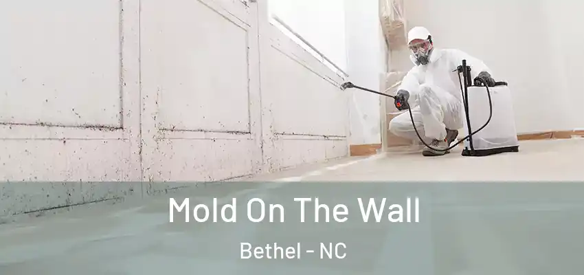  Mold On The Wall Bethel - NC