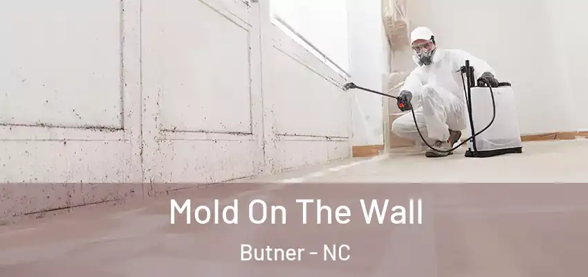  Mold On The Wall Butner - NC