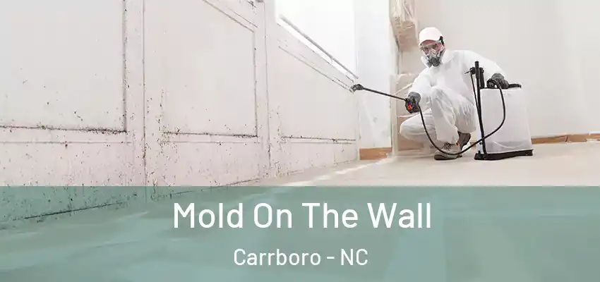  Mold On The Wall Carrboro - NC