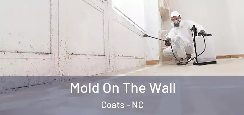 Mold On The Wall Coats - NC
