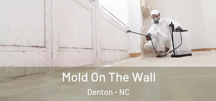  Mold On The Wall Denton - NC