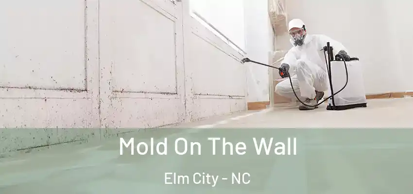  Mold On The Wall Elm City - NC