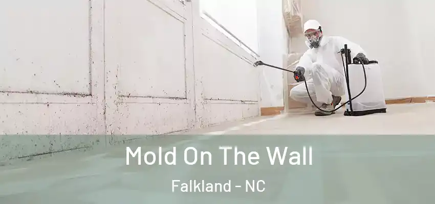  Mold On The Wall Falkland - NC