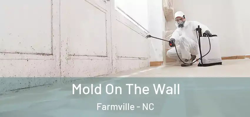  Mold On The Wall Farmville - NC