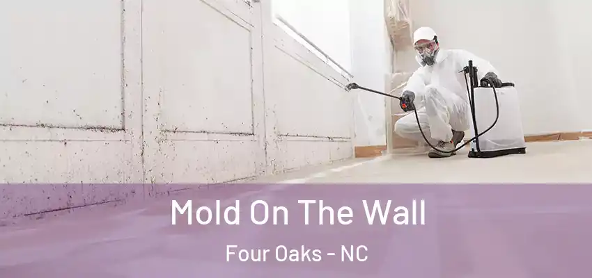Mold On The Wall Four Oaks - NC