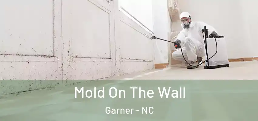  Mold On The Wall Garner - NC