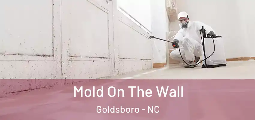  Mold On The Wall Goldsboro - NC