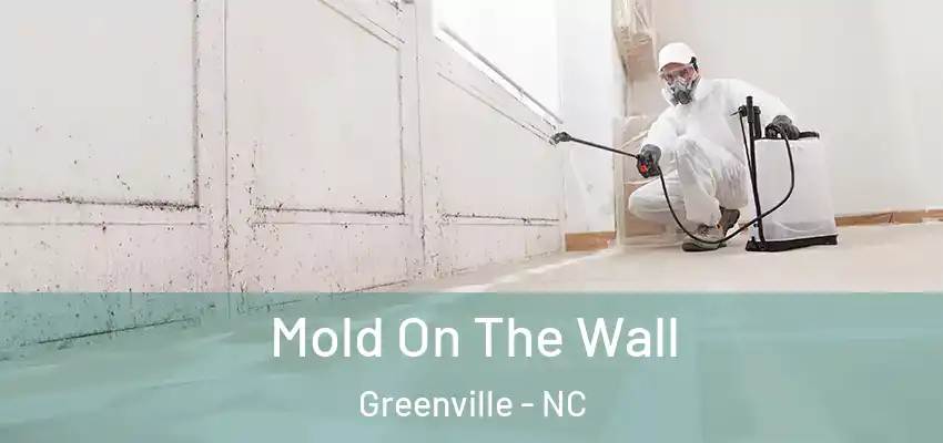  Mold On The Wall Greenville - NC
