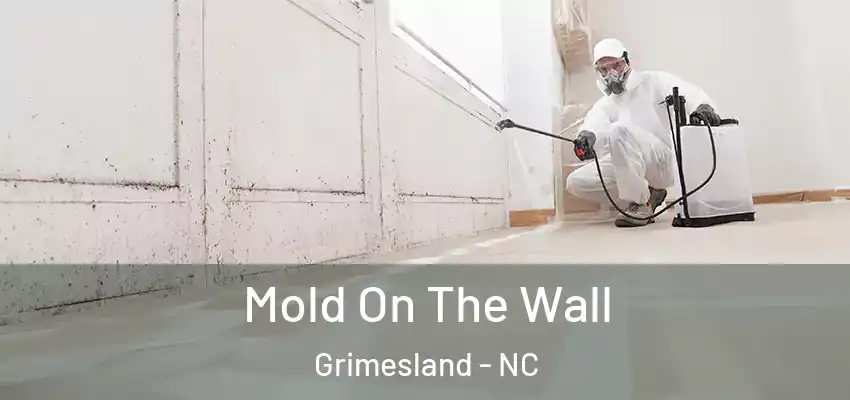 Mold On The Wall Grimesland - NC