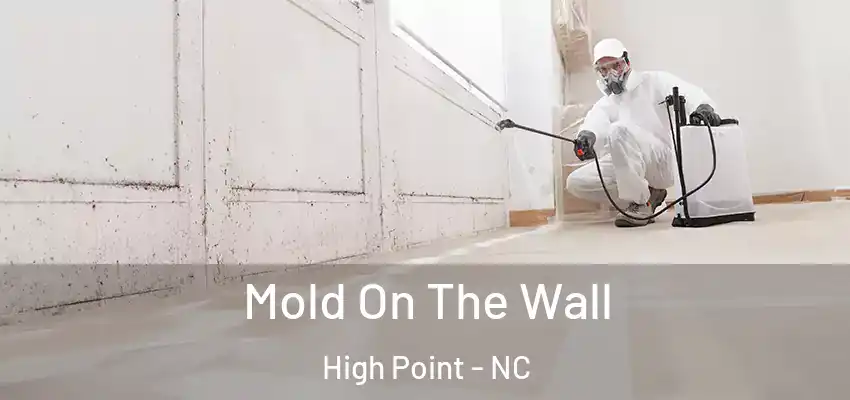  Mold On The Wall High Point - NC