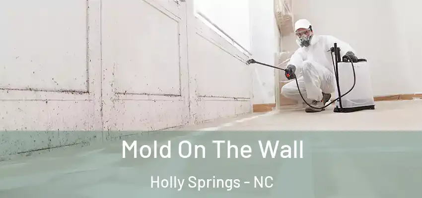 Mold On The Wall Holly Springs - NC