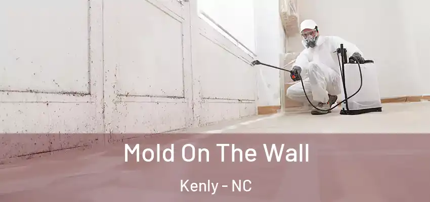 Mold On The Wall Kenly - NC