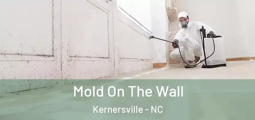 Mold On The Wall Kernersville - NC
