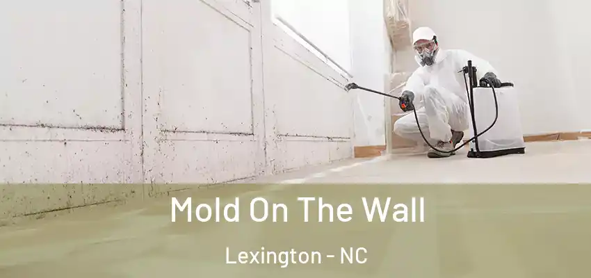 Mold On The Wall Lexington - NC