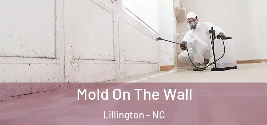 Mold On The Wall Lillington - NC