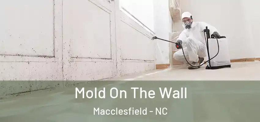  Mold On The Wall Macclesfield - NC