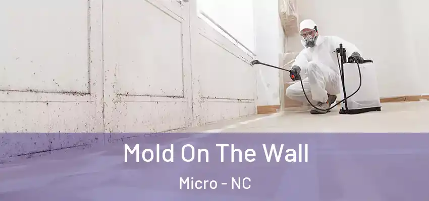 Mold On The Wall Micro - NC