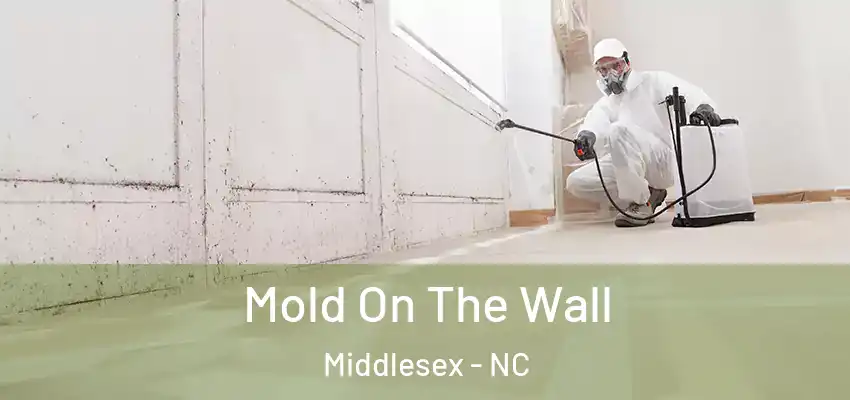  Mold On The Wall Middlesex - NC