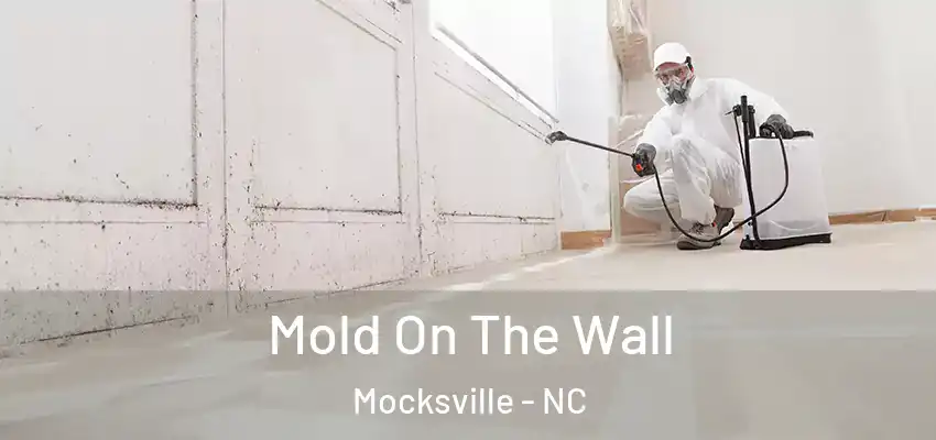 Mold On The Wall Mocksville - NC