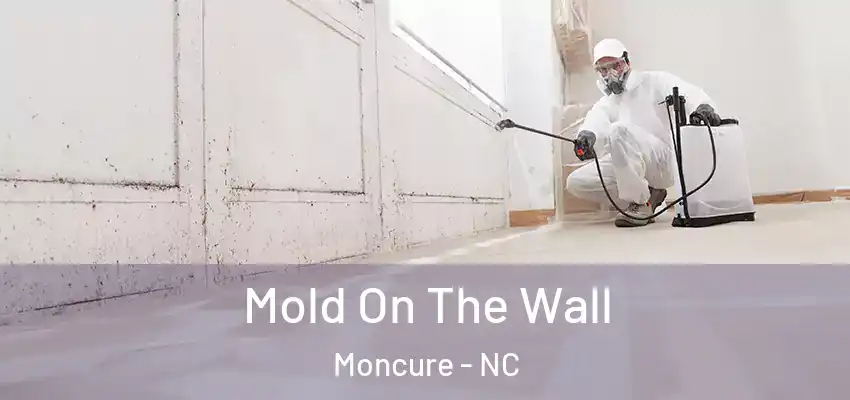  Mold On The Wall Moncure - NC