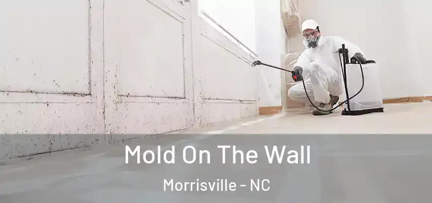Mold On The Wall Morrisville - NC