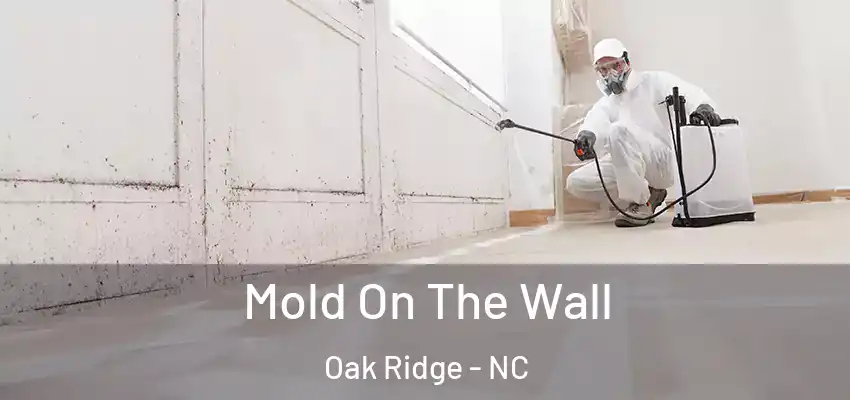 Mold On The Wall Oak Ridge - NC