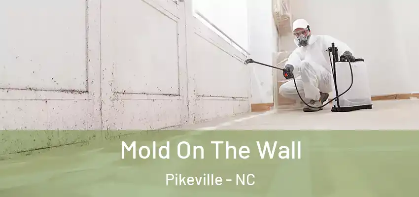  Mold On The Wall Pikeville - NC