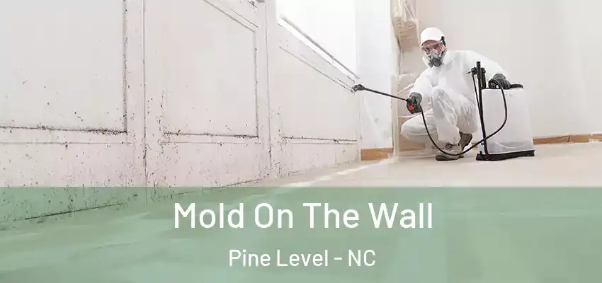 Mold On The Wall Pine Level - NC